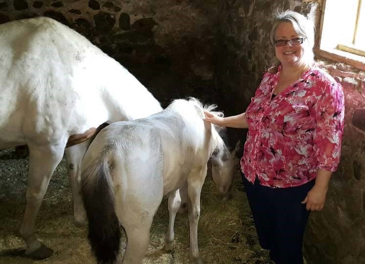 image of middle aged lady petting foal with mare nearby