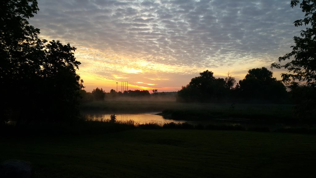 image of body of water and surrounding trees